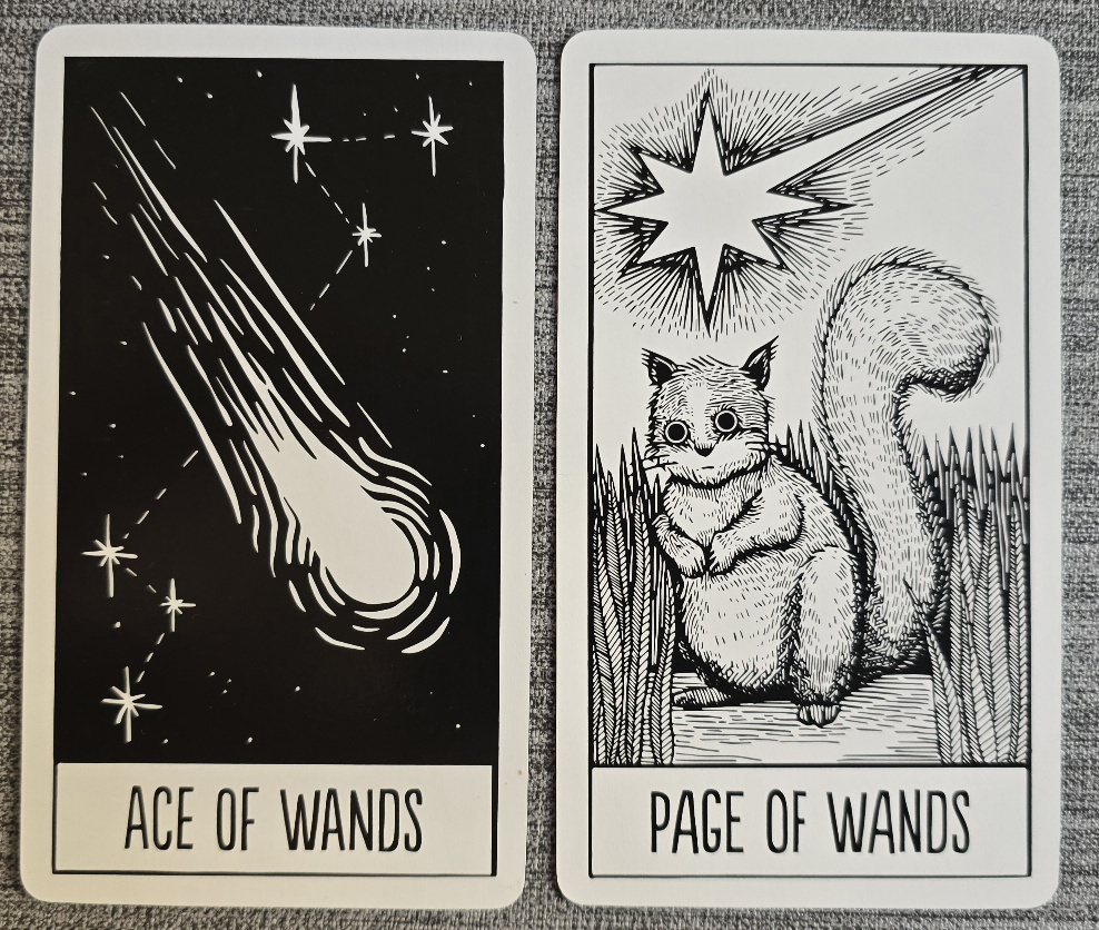 Två tarotkort ligger bredvid varandra. På det vänstra kortet, ACE OF WANDS, syns en stor vit, flammande komet som diagonalt faller genom en svart stjärnhimmel. På det högra kortet, PAGE OF WANDS, sitter en ekorre i högt gräs under en stor, strålande komet. Ekorren ser inte kometen. Den har stora öron, en yvig upprest svans och håller sina framtassar framför kroppen.